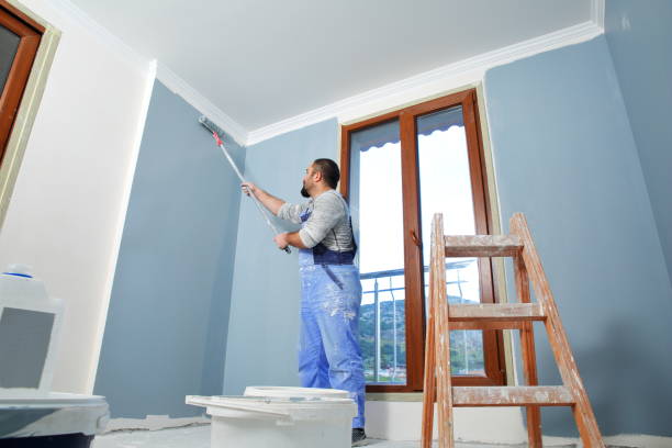 Best Fire-Damaged Drywall Repair  in Severn, MD